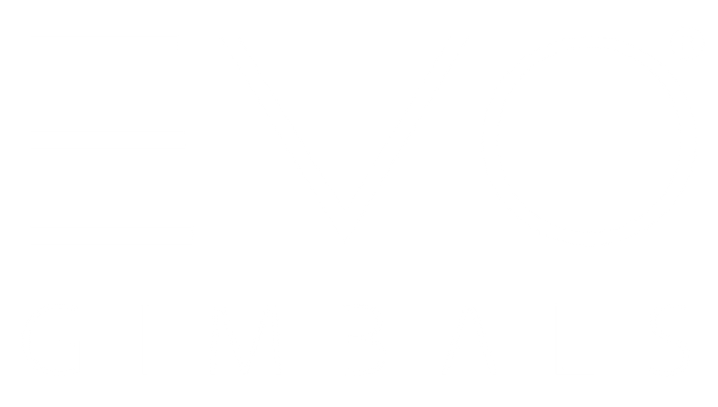 Camslinger outdoor camera clearance bag